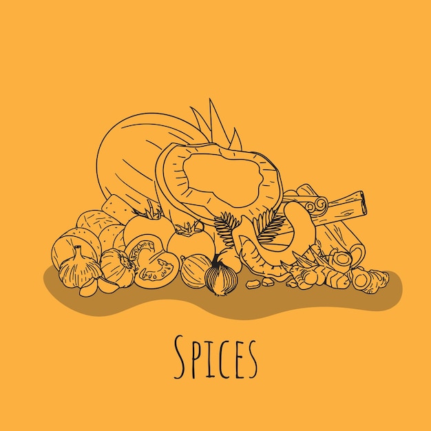 Doodle art of spices in line art design for restaurant background