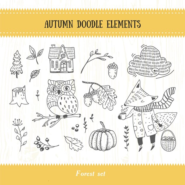 Vector doodle autumn forest collection