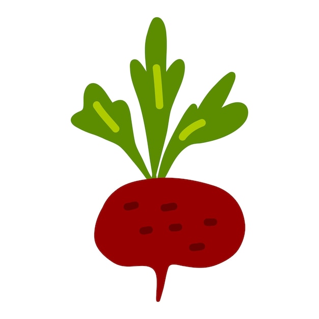 ベクトル ドードルビート 赤根野菜 ベジタリアンと健康的な食事 野菜と果物 ストック