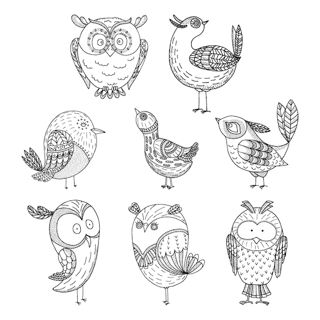 Vector doodle birds set