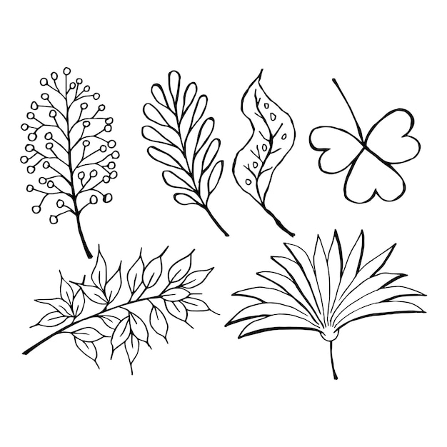 Doodle set di foglie bianche e nere