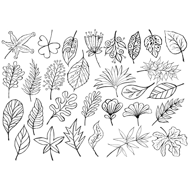 Vector doodle black and white leaves set