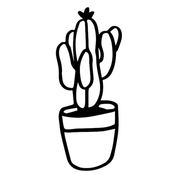 Vettore scarabocchio cactus. pianta d'appartamento disegnata a mano. illustrazione vettoriale