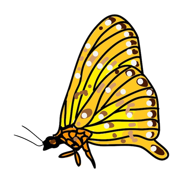 어린이 도서 편지지 및 인사말 카드에 대한 원형 프레임에 나비의 낙서 만화