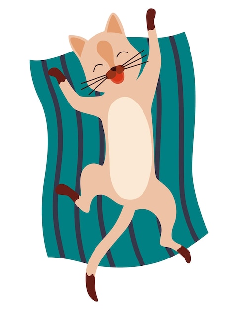 Doodle cat Cute and funny pet vector illustration Cartoon kitten character design Adorable animal sleeping