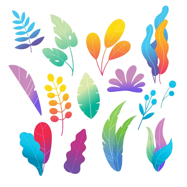  doodle colorful leaves and flowers  set