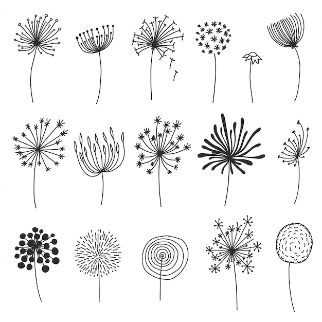 민들레 세트 낙서. 솜털 씨앗, 꽃 실루엣 디자인 요소와 손으로 그린 풍선이나 꽃