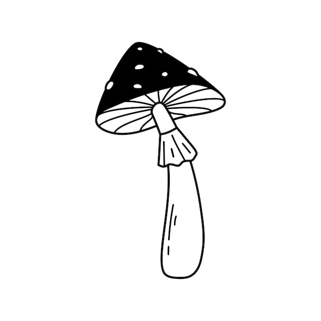 낙서 죽음 모자 버섯 Amanita 아이콘 손으로 그린 비행 Agaric 벡터 일러스트 레이 션 검은 곰팡이 라인 아트 숲 식물