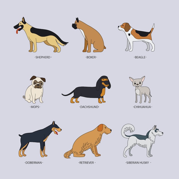 Вектор doodle породы собак цветные плоские иконки набор