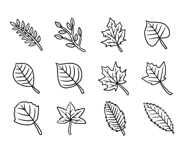 Vector doodle dry autumn leaf icon