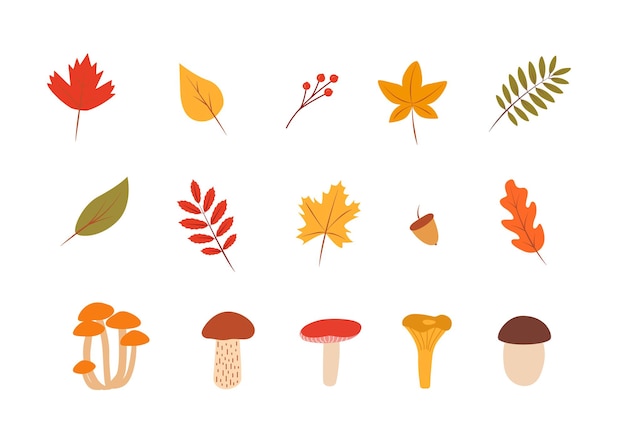 Doodle fall color set of tree leaves and mushrooms autumn concept vector illustration