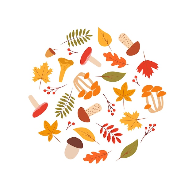 Doodle fall color set of tree leaves and mushrooms autumn concept vector illustration