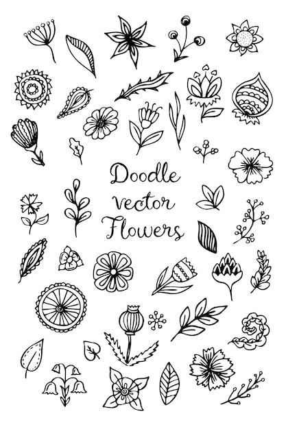 Set di fiori doodle collezione floreale di schizzo di linea disegnata a mano