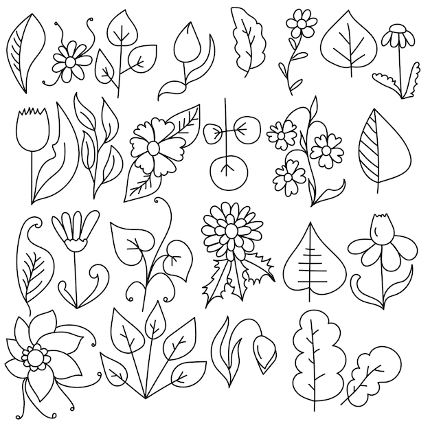 낙서 꽃과 잎은 디자인을 위한 윤곽 요소의 식물 컬렉션을 설정합니다.