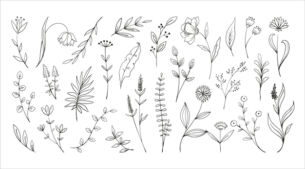 Vector doodle forest plants hand drawn simple flowers foliage and wood ferns decorative floral sketch engraving stems with leaves and blooms botanical graphic elements vector isolated meadow herbs set