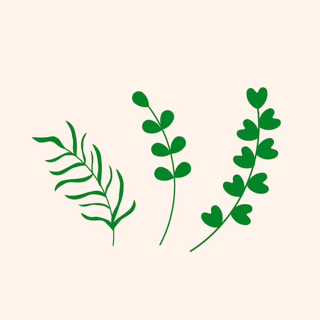 Doodle green colors leaves branches Twig plant herb heart shaped leaves Vector illustration Hand