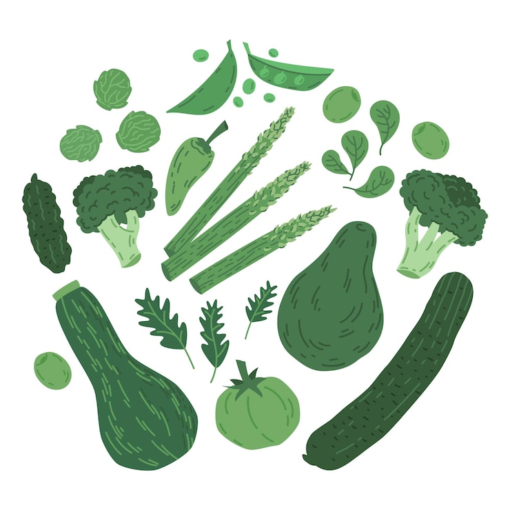Vector doodle groene groenten peper squash broccoli vector illustratie set