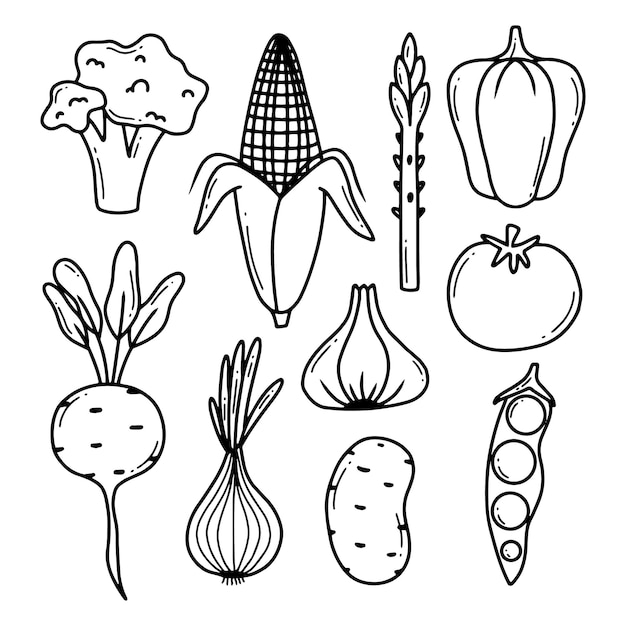Doodle groenten vector set Verzameling groenten broccoli maïs peper ui knoflook asperges Handgetekende stijl geïsoleerd op witte achtergrond