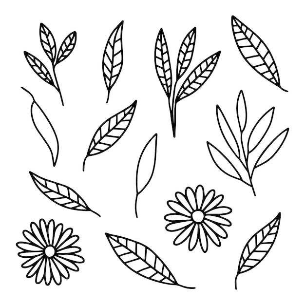 Ручной рисунок различных листьев и цветов векторный набор ручной рисунок травы каракули