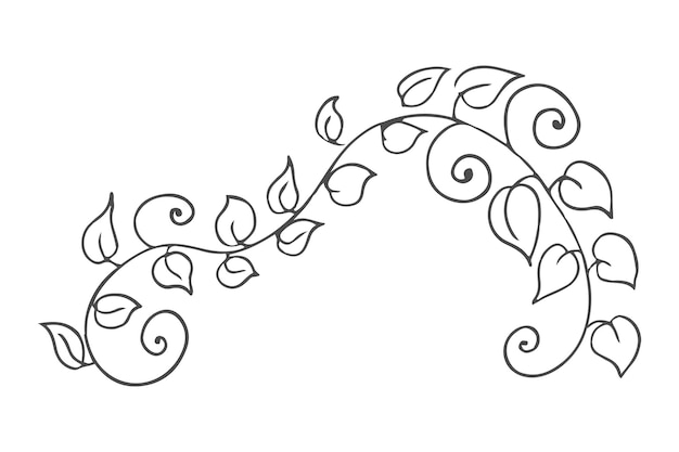 Doodle foglie disegnate a mano fogliame carino elegante pianta estetica isolata