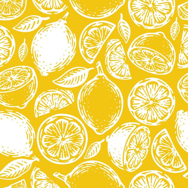 벡터 낙서 손으로 그린 라임과 레몬 완벽 한 패턴입니다. 열대 여름 감귤류 과일 빈티지 스타일.