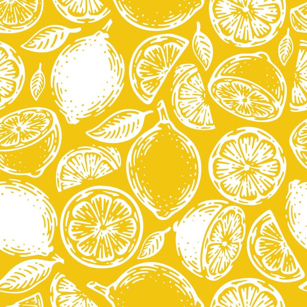 doodle hand drawn lime and lemon seamless pattern. Tropical summer citrus fruit vintage style.