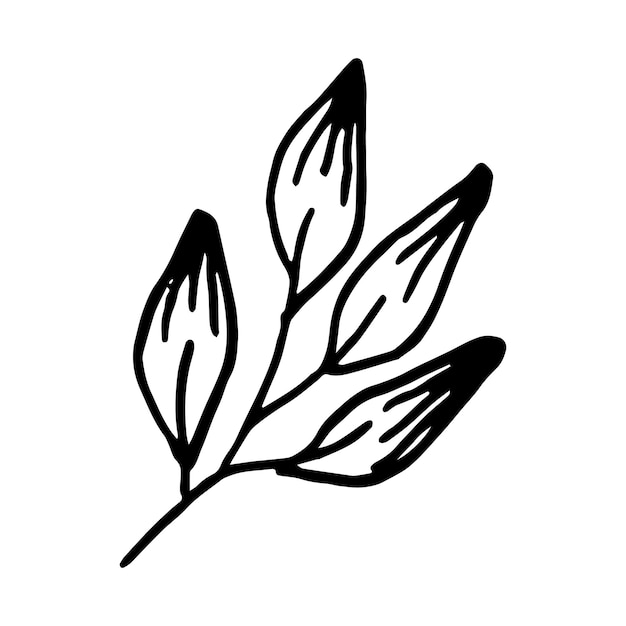 Doodle hand getrokken blad geïsoleerd op witte achtergrond