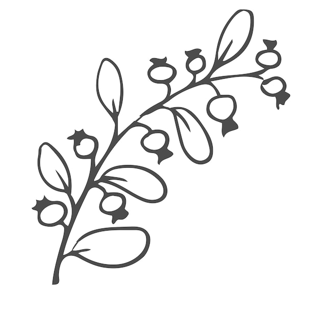 Doodle hand getrokken bladeren gebladerte schattige elegante esthetische plant geïsoleerd