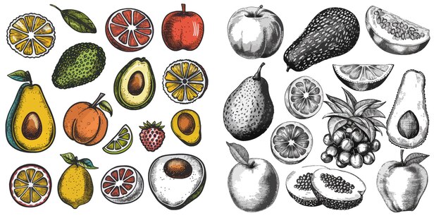 Vettore raccolto doodle agrumi avocado e mela frutta d'estate dolce vegana naturale