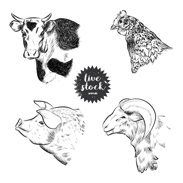 Doodle illustration collection animal head cattle, chicken, cow, goat.