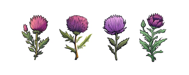 Doodle inspired Thistle cartoon Vector illustration design