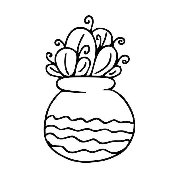 Doodle kamerplant in pot