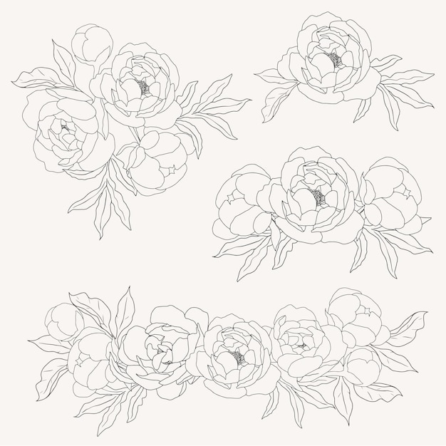 Vettore collezione di elementi di bouquet di fiori di peonia arte linea doodle