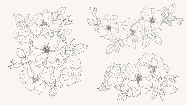 Vettore collezione di elementi di bouquet di fiori di rosa doodle line art