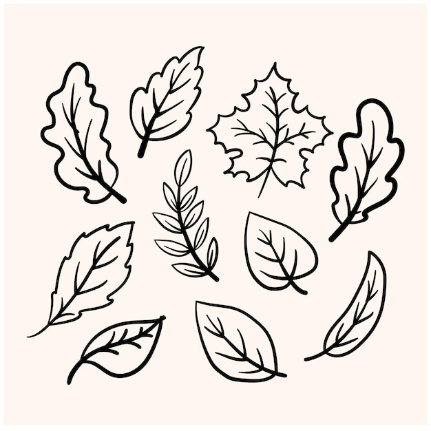 Vector doodle lineart of different tree leaves background with cream color