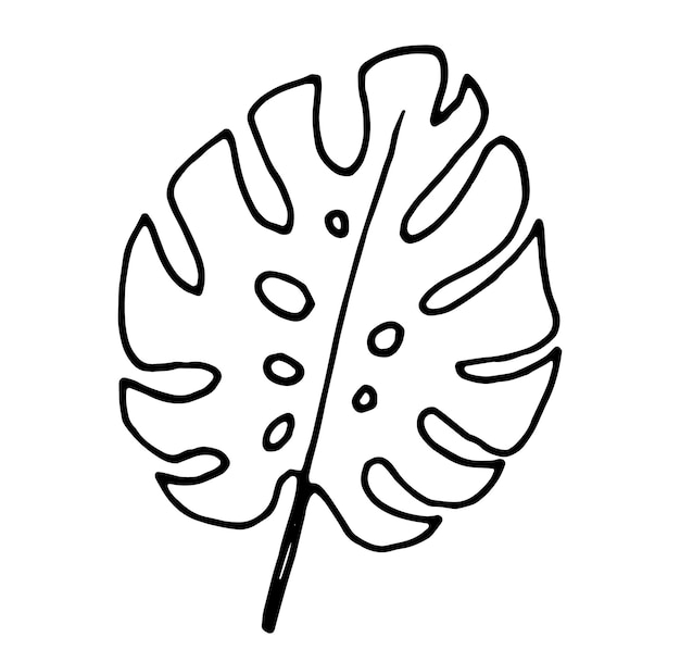 Doodle monstera blad overzicht clipart hand getrokken element