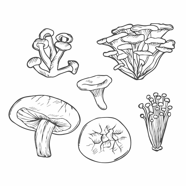 Insieme di vettore disegnato a mano del fungo di doodle