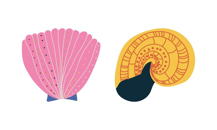 Vector doodle ornamental seashell with hard marine shell vector set