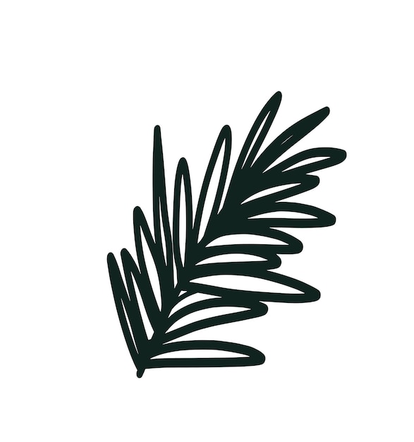 Doodle outline rosemary branch isolated on white background Simple vector floral icon Logo design element Botanical leaves and branches