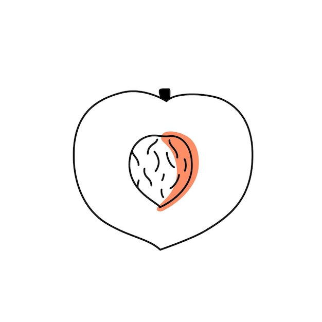 Doodle outline slice peach with spot Vector illustration for packing