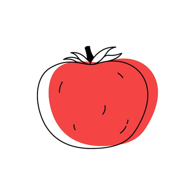 Doodle outline tomato with spot Vector illustration for packing