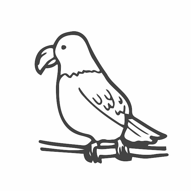 How To Sketch A Parrot by Dawn | dragoart.com | Parrot drawing, Drawings,  Eagle drawing