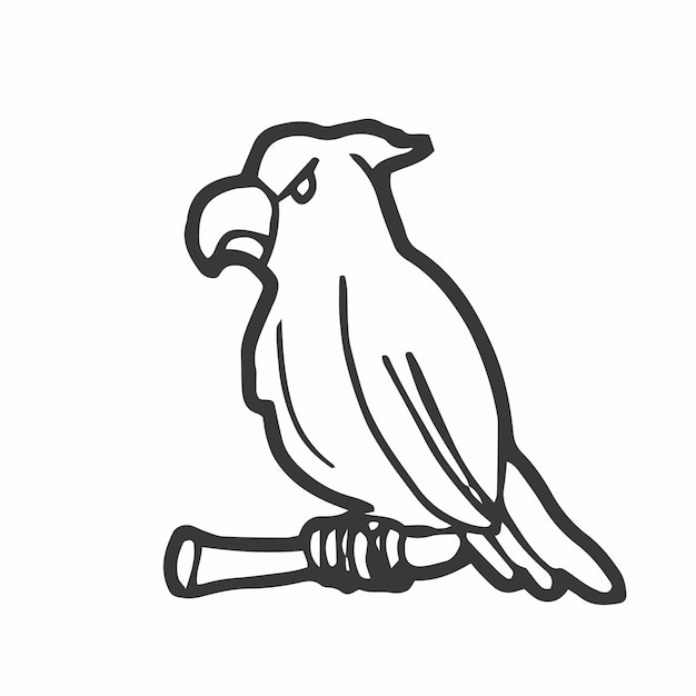 Doodle Parrot in vector Isolated vector sketch