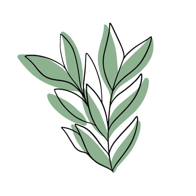 Vector doodle plant with colored spot