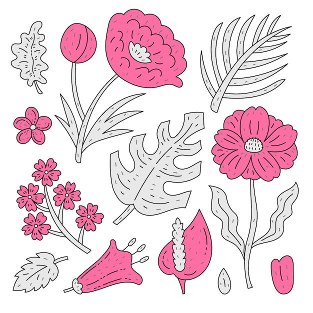 Doodle plants collection