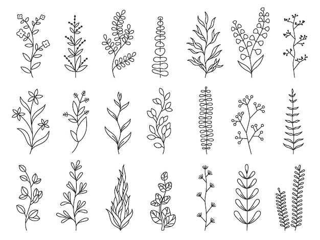 Doodle plants linear decorative forest branches with leaves and flowers floral cartoon sketches for greeting cards and invitation vector isolated set