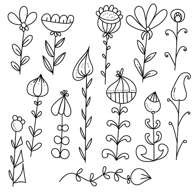 Doodle plants with symmetrical and asymmetrical leaves of various shapes fantasy patterned flowers