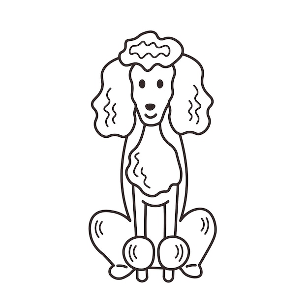 Doodle poodle