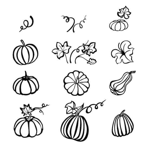 Doodle pumpkins with leaves outline coloring design