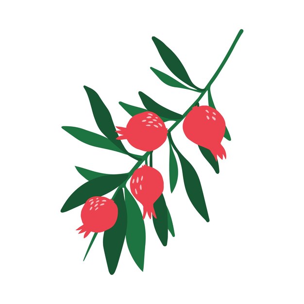 Vector doodle red pomegranate branch and leaves isolated on white background